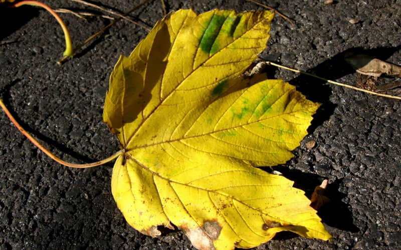 “女生在床上说的最多的话"_wishdown.com “女生在床上说的最多的话"_wishdown.com