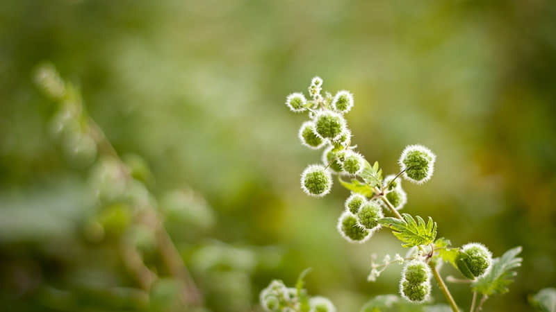 “女生在床上说的最多的话"_wishdown.com “女生在床上说的最多的话"_wishdown.com