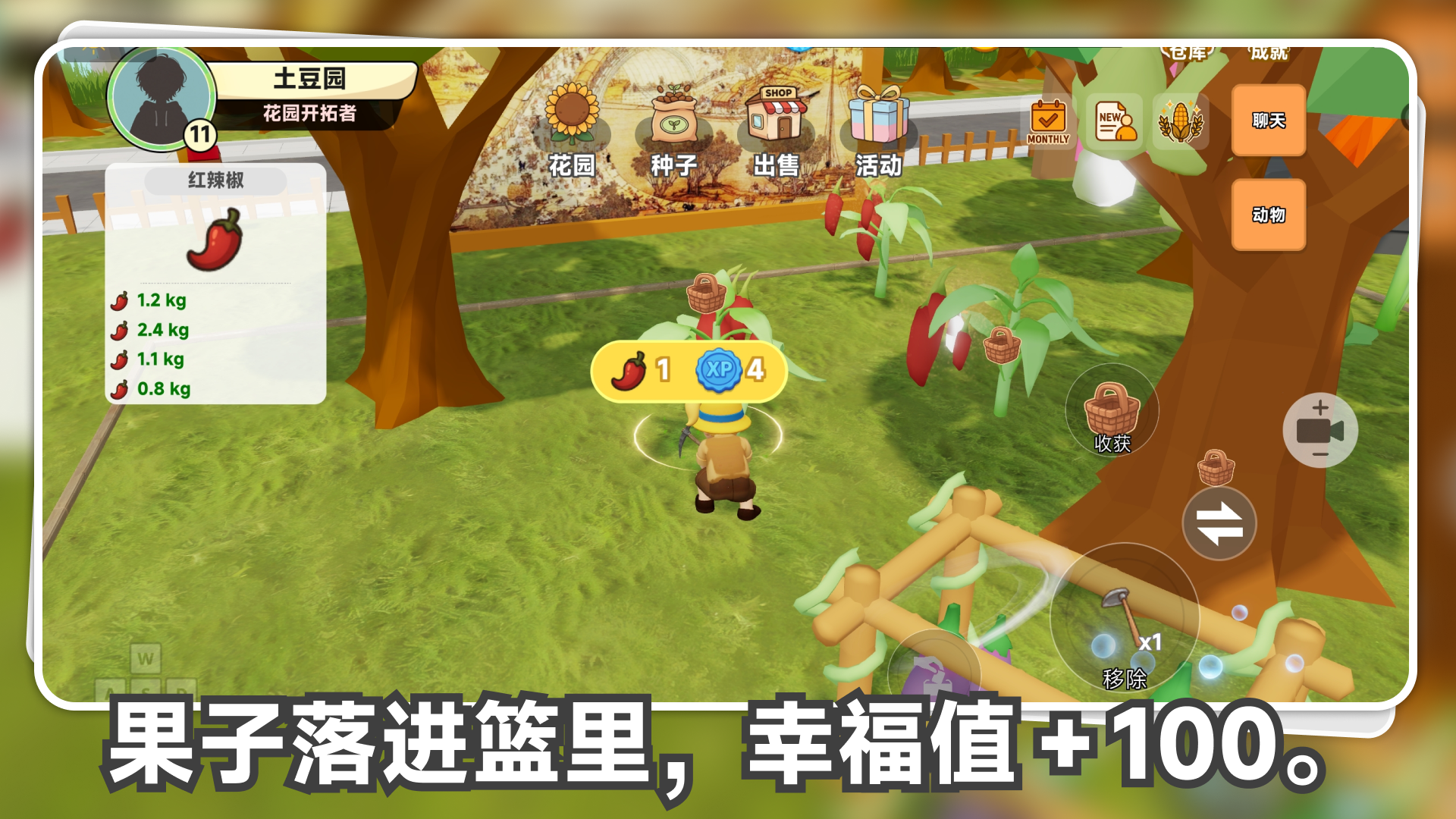 星露花园什么时候出 公测上线时间预告_wishdown.com 星露花园什么时候出 公测上线时间预告_wishdown.com