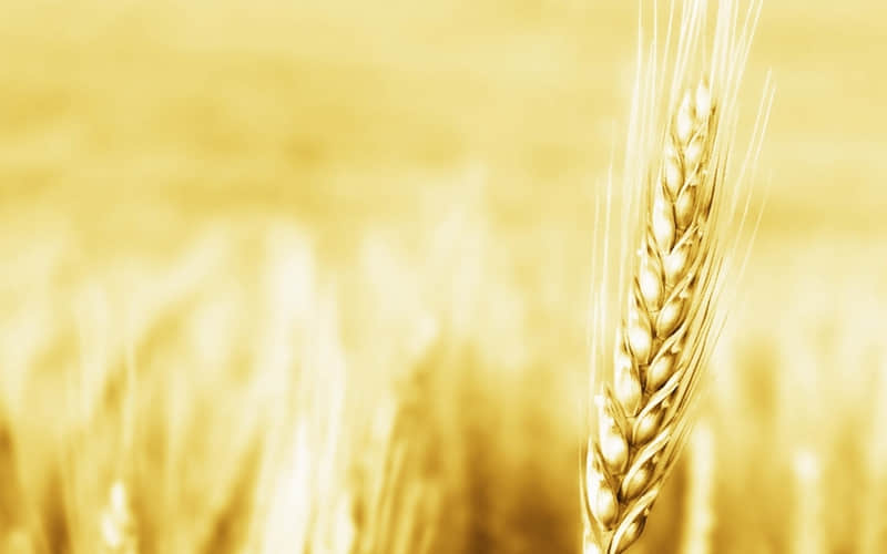 “人生最好的状态,兜里有钱,心里有光,活的坦荡!”_wishdown.com “人生最好的状态,兜里有钱,心里有光,活的坦荡!”_wishdown.com