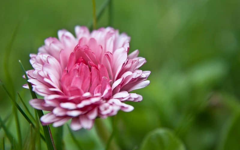 “睡不着就这样发,3秒笑死朋友圈!”_wishdown.com “睡不着就这样发,3秒笑死朋友圈!”_wishdown.com