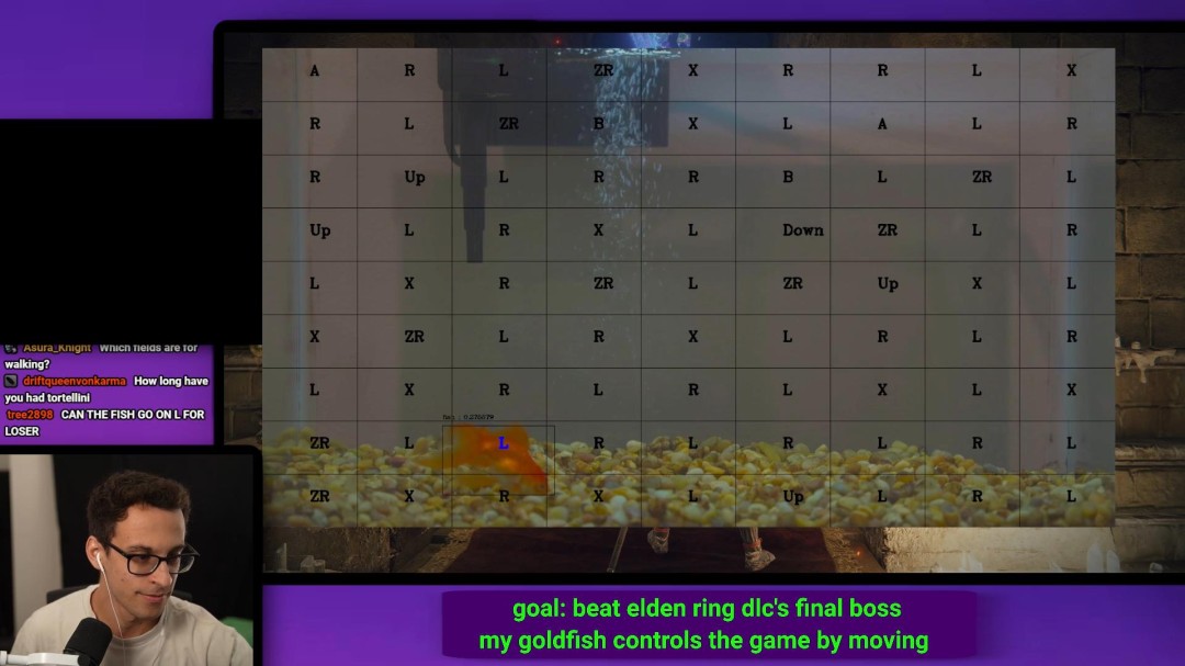 真神陨落 那条击败了《黄金树幽影》最终BOSS的金鱼去世了_wishdown.com 真神陨落 那条击败了《黄金树幽影》最终BOSS的金鱼去世了_wishdown.com