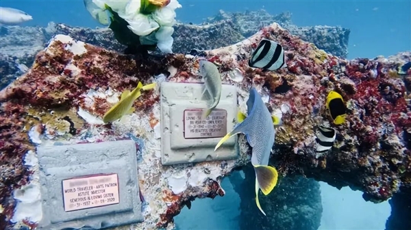 迈阿密将22辆“汽车”推入海底 给珊瑚当家_wishdown.com 迈阿密将22辆“汽车”推入海底 给珊瑚当家_wishdown.com