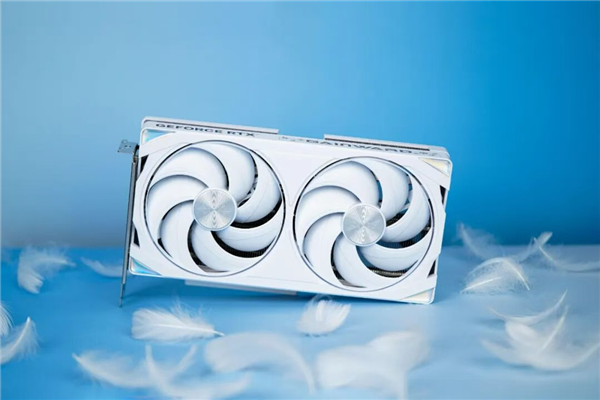 戴维·琼斯《DAVY x JONES》耕升RTX 5060 踏雪 OC海盗冥界冒险_wishdown.com 戴维·琼斯《DAVY x JONES》耕升RTX 5060 踏雪 OC海盗冥界冒险_wishdown.com