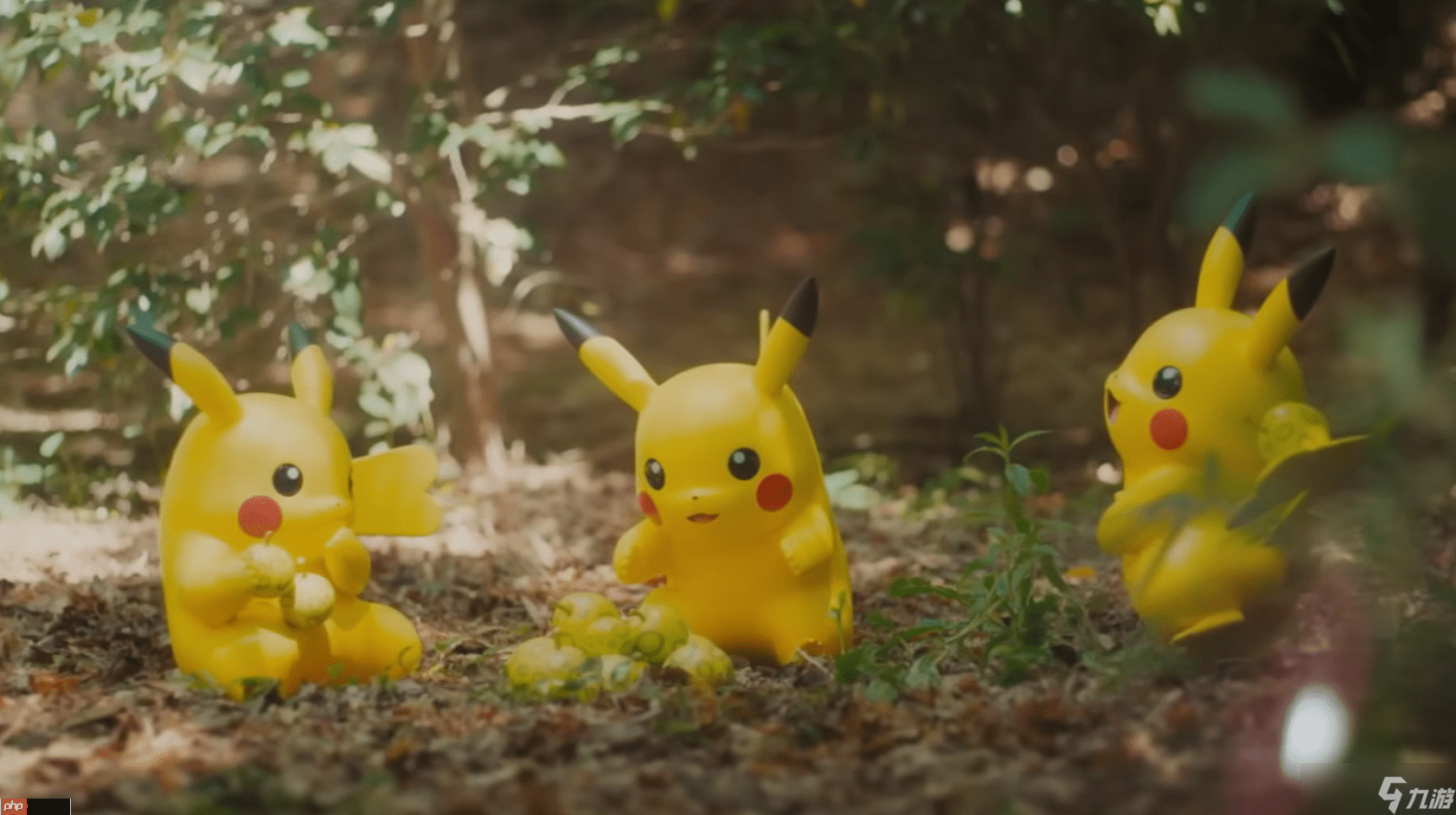 PokPark Kantoʵɭ ԰ϸơЩˡֹ