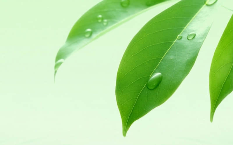 “降温了,早安这样发,高级又暖心”_wishdown.com “降温了,早安这样发,高级又暖心”_wishdown.com