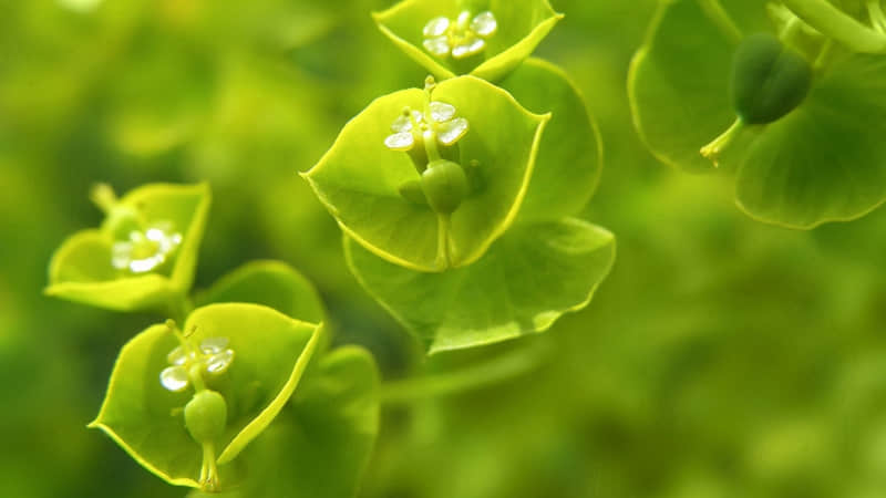 “降温了,早安这样发,高级又暖心”_wishdown.com “降温了,早安这样发,高级又暖心”_wishdown.com