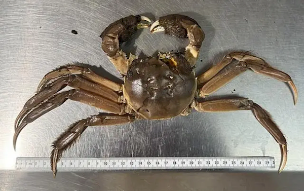 һֻբзһݿֻţʵڱָˣ