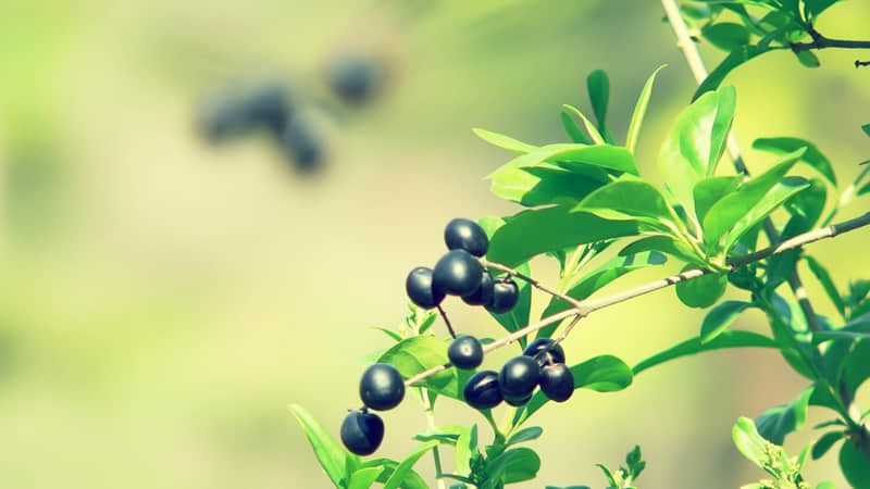 “降温了,发一条不一样的朋友圈”??_wishdown.com “降温了,发一条不一样的朋友圈”??_wishdown.com