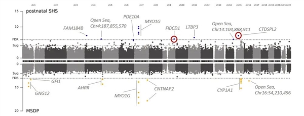 别在家里抽烟了!二手烟正在“修改”你家孩子的DNA_wishdown.com 别在家里抽烟了!二手烟正在“修改”你家孩子的DNA_wishdown.com