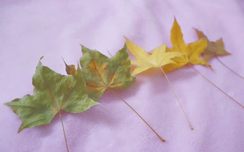 “会接话的女人,真的好厉害”_wishdown.com “会接话的女人,真的好厉害”_wishdown.com