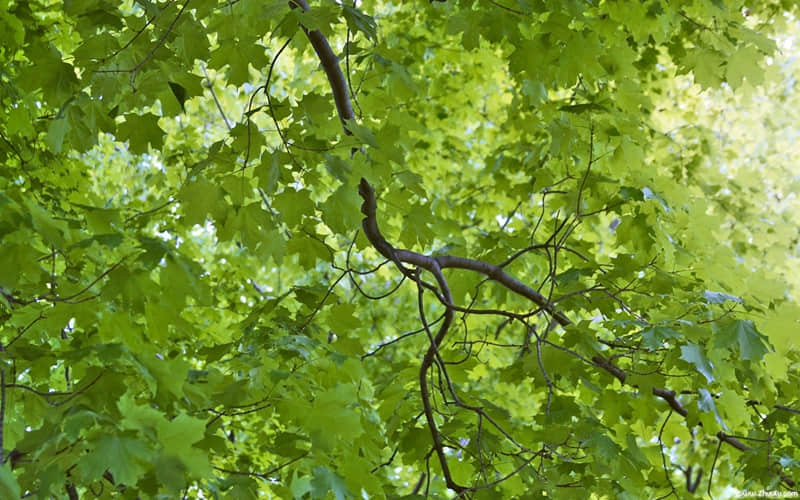 “会接话的女人,真的好厉害”_wishdown.com “会接话的女人,真的好厉害”_wishdown.com