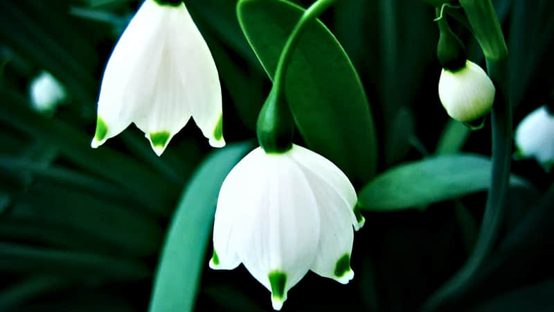 "䲻ͻ䶼ͻ"??????????