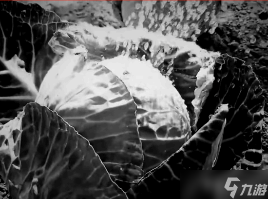 ֲϷSteam ߳ûиκν