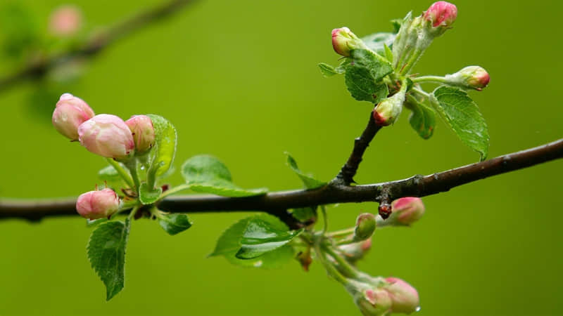 “拿一句,去恶心死你对象??”_wishdown.com “拿一句,去恶心死你对象??”_wishdown.com