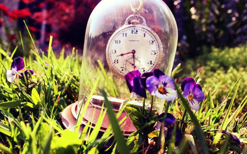 “拿一句,去恶心死你对象??”_wishdown.com “拿一句,去恶心死你对象??”_wishdown.com