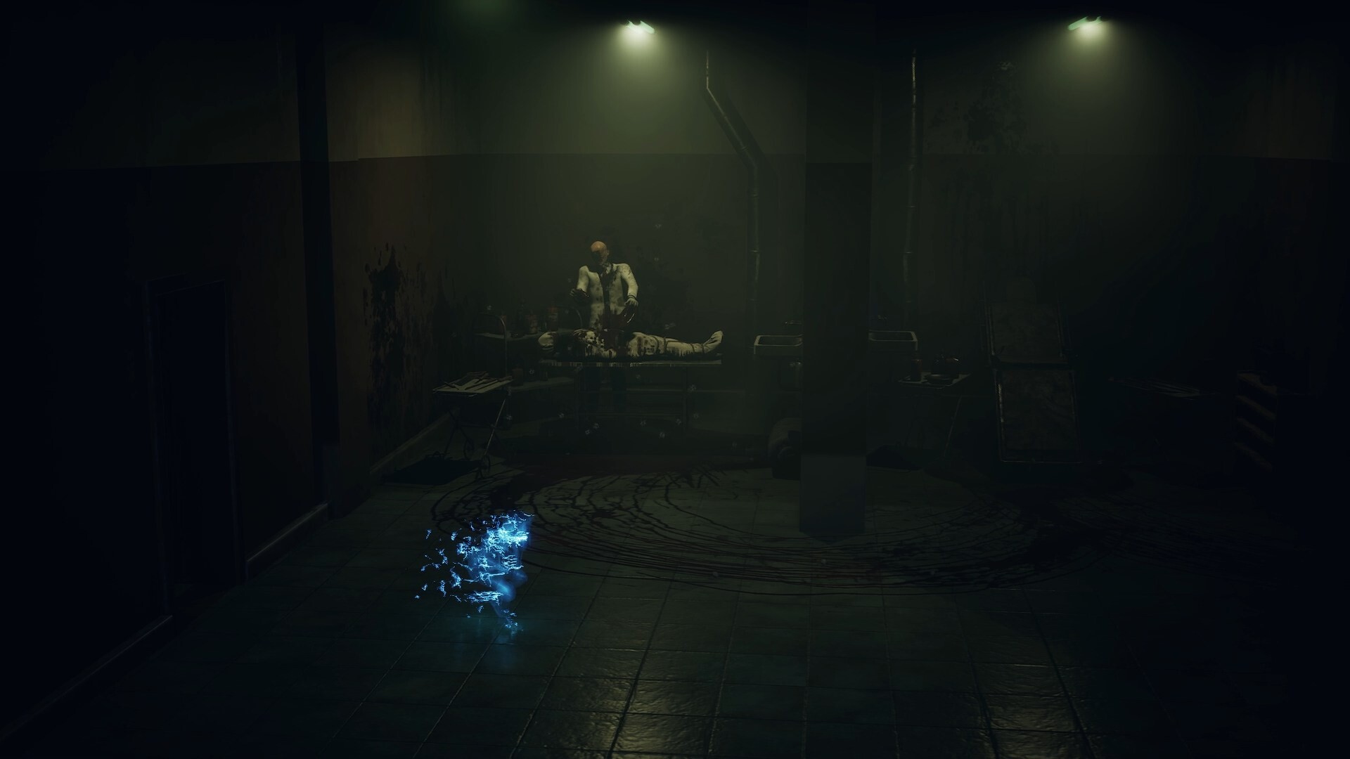 寂静之国的波斯菊好玩吗 寂静之国的波斯菊玩法简介_wishdown.com 寂静之国的波斯菊好玩吗 寂静之国的波斯菊玩法简介_wishdown.com