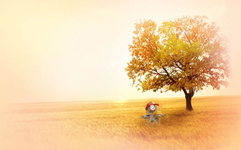 “突然一下子就不焦虑了,真爽”??_wishdown.com “突然一下子就不焦虑了,真爽”??_wishdown.com