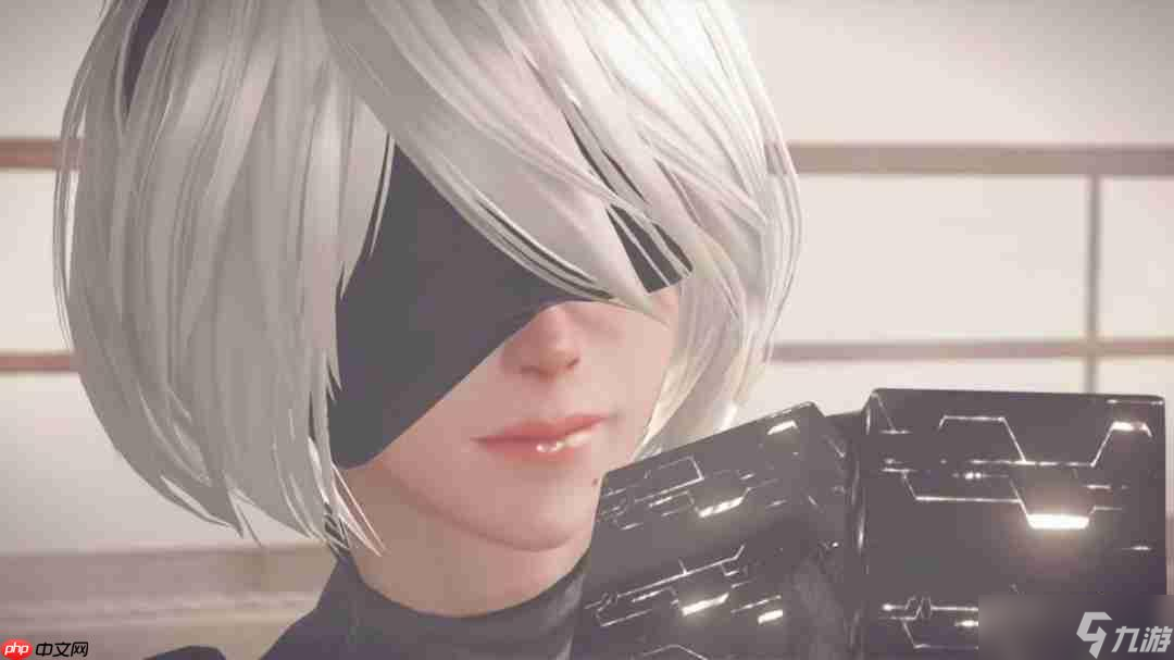 𿨶  еԪSwitch2ⱻ޸