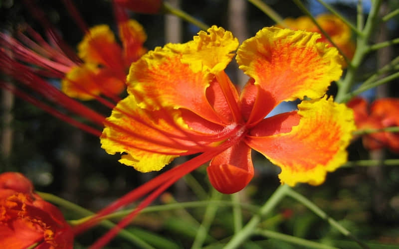 “挑一句,可以支撑你很久的句子”??_wishdown.com “挑一句,可以支撑你很久的句子”??_wishdown.com