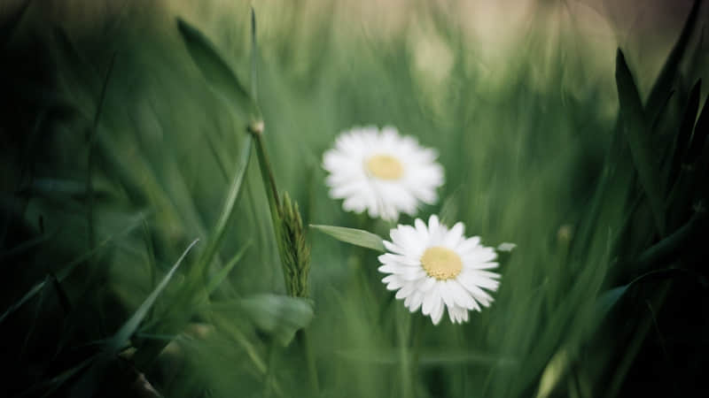 “一句支撑你很久的话”_wishdown.com “一句支撑你很久的话”_wishdown.com