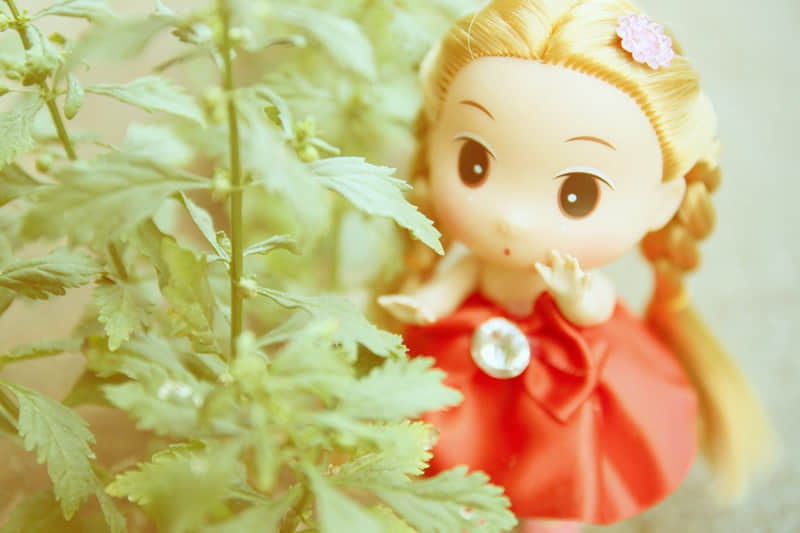 “最近的状态,句句戳心”_wishdown.com “最近的状态,句句戳心”_wishdown.com