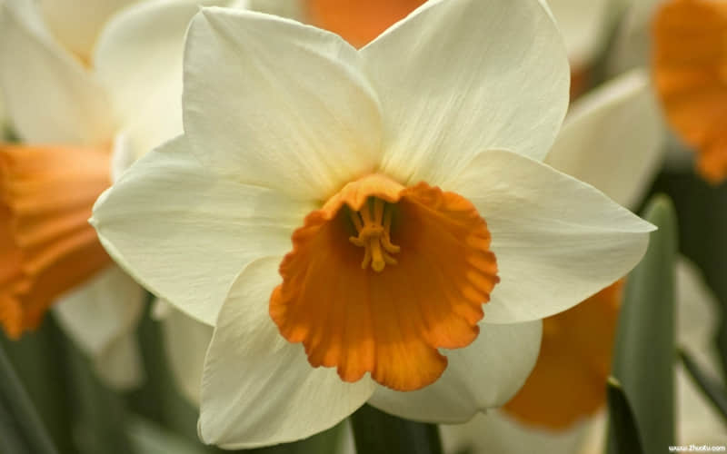 “最近的状态,句句戳心”_wishdown.com “最近的状态,句句戳心”_wishdown.com