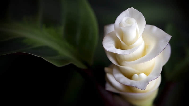 “最近的状态,句句戳心”_wishdown.com “最近的状态,句句戳心”_wishdown.com