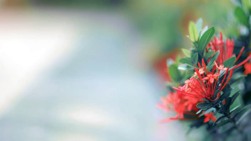 “够你发一辈子的大格局文案,太有感觉了”??_wishdown.com “够你发一辈子的大格局文案,太有感觉了”??_wishdown.com