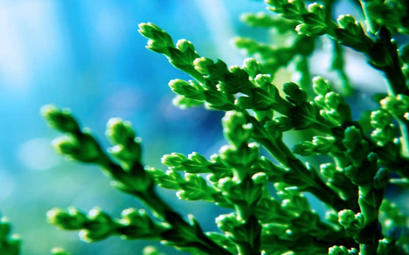 “够你发一辈子的大格局文案,太有感觉了”??_wishdown.com “够你发一辈子的大格局文案,太有感觉了”??_wishdown.com