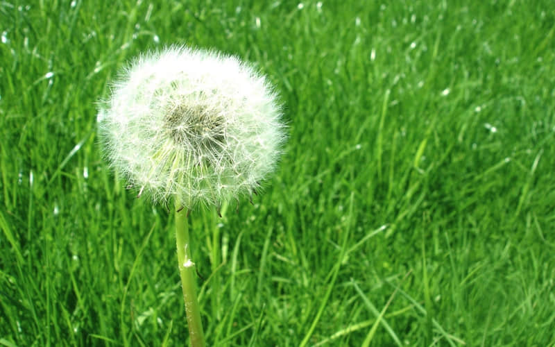 “一句话,把男人哄成翘嘴”_wishdown.com “一句话,把男人哄成翘嘴”_wishdown.com