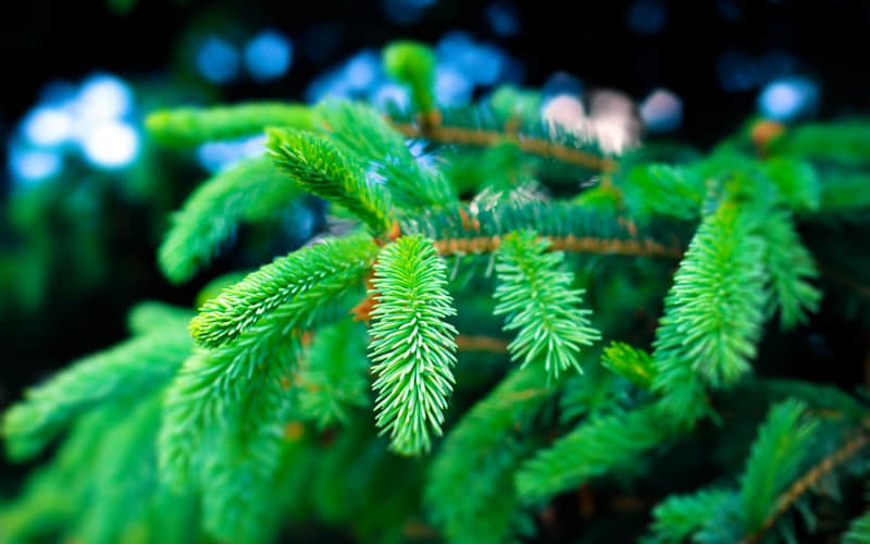 “一句话,把男人哄成翘嘴”_wishdown.com “一句话,把男人哄成翘嘴”_wishdown.com