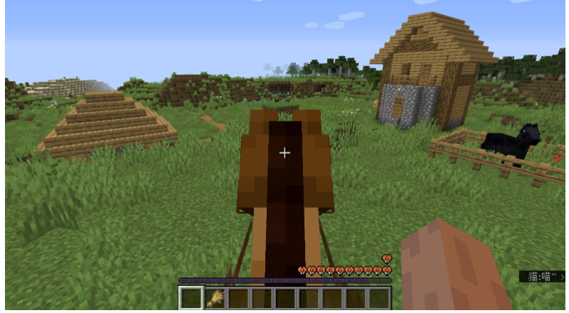 我的世界怎么能让马成为你的坐骑_wishdown.com 我的世界怎么能让马成为你的坐骑_wishdown.com