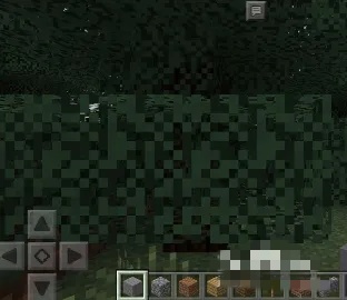 我的世界如何邀请好友进入自己的房间2026年_wishdown.com 我的世界如何邀请好友进入自己的房间2026年_wishdown.com