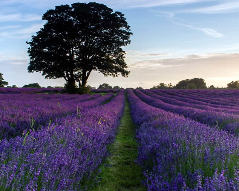 “ 没钱啦!高情商向老公撒娇要钱 ”_wishdown.com “ 没钱啦!高情商向老公撒娇要钱 ”_wishdown.com