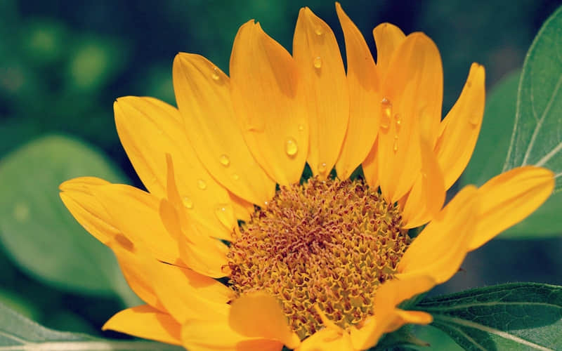 “2?2?/??.??小雪到,朋友圈你就这样发”_wishdown.com “2?2?/??.??小雪到,朋友圈你就这样发”_wishdown.com