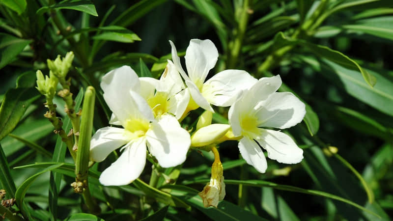 “2?2?/??.??小雪到,朋友圈你就这样发”_wishdown.com “2?2?/??.??小雪到,朋友圈你就这样发”_wishdown.com