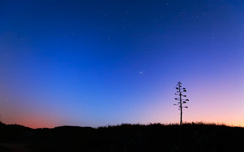 “朋友圈这样发,没有人不停留”_wishdown.com “朋友圈这样发,没有人不停留”_wishdown.com