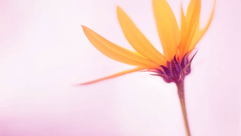 “朋友圈这样发,没有人不停留”_wishdown.com “朋友圈这样发,没有人不停留”_wishdown.com