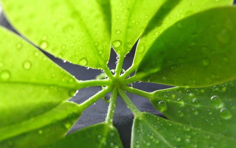 “降温了这样发,太有感觉了”_wishdown.com “降温了这样发,太有感觉了”_wishdown.com