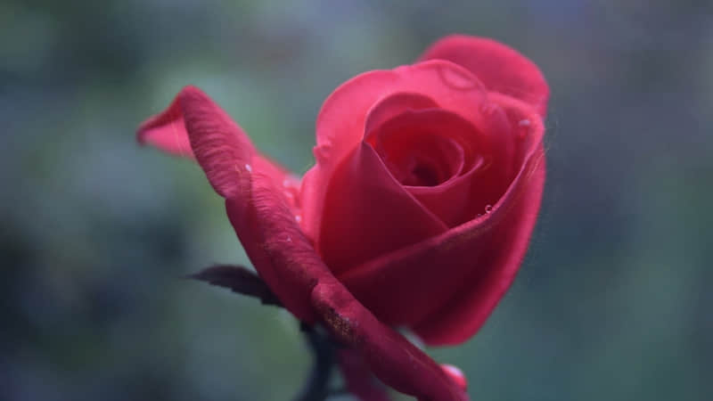 “降温了这样发,太有感觉了”_wishdown.com “降温了这样发,太有感觉了”_wishdown.com