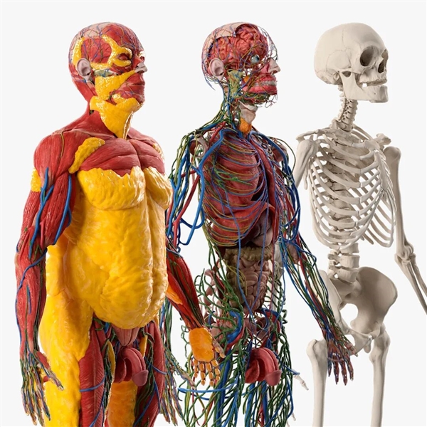 子弹卡在脂肪层 美国女子遇歹徒连中7枪奇迹生还!_wishdown.com 子弹卡在脂肪层 美国女子遇歹徒连中7枪奇迹生还!_wishdown.com