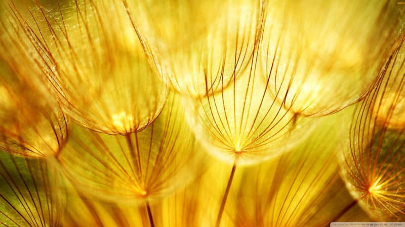 “顶级文案,句句清醒,句句治愈”_wishdown.com “顶级文案,句句清醒,句句治愈”_wishdown.com