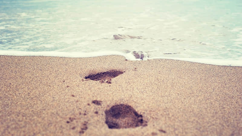 “顶级文案,句句清醒,句句治愈”_wishdown.com “顶级文案,句句清醒,句句治愈”_wishdown.com