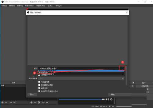 OBS Studio如何捕获进程_wishdown.com OBS Studio如何捕获进程_wishdown.com