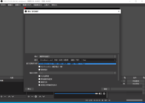 OBS Studio如何捕获进程_wishdown.com OBS Studio如何捕获进程_wishdown.com
