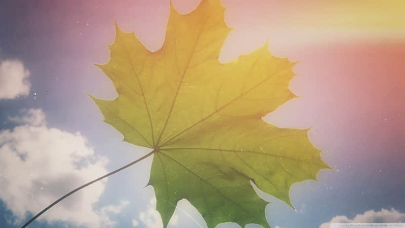 “爱而不得、皆是过往,原来遗憾可以写的这么疼”_wishdown.com “爱而不得、皆是过往,原来遗憾可以写的这么疼”_wishdown.com