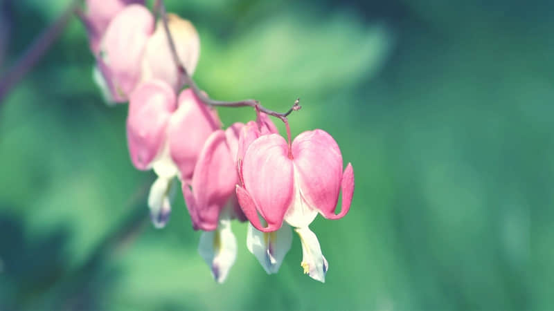 “央视封神金句,可以支撑你很久的句子”_wishdown.com “央视封神金句,可以支撑你很久的句子”_wishdown.com