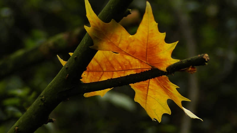 “央视封神金句,可以支撑你很久的句子”_wishdown.com “央视封神金句,可以支撑你很久的句子”_wishdown.com