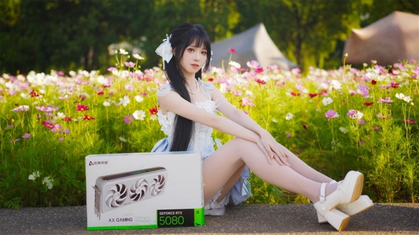 2025年 哪款游戏让你熬的夜最值得_wishdown.com 2025年 哪款游戏让你熬的夜最值得_wishdown.com